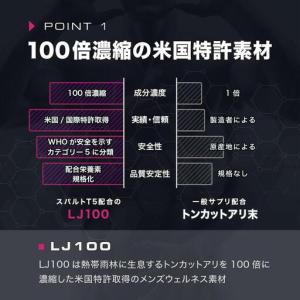 ふるさと納税 【スパルトT5】メンズサプリ・5...の詳細画像4