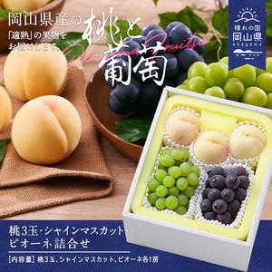 ふるさと納税 CT-3【令和8年発送】桃・シャイ...の商品画像