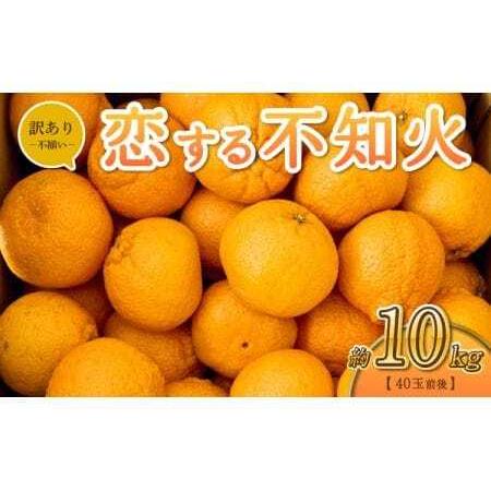 ふるさと納税 不知火 【先行予約】恋する不知火 約10kg 訳あり品 【御舩果樹園】宇城市産 デコポ...