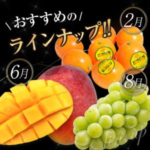 ふるさと納税 【12回】フルーツ定期便 旬のフ...の詳細画像3