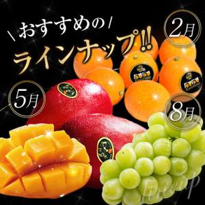 ふるさと納税 青果店チョイス!くだもの定期便V...の詳細画像3