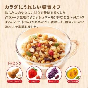 ふるさと納税 【定期便全3回】 <毎月発送> ...の詳細画像3
