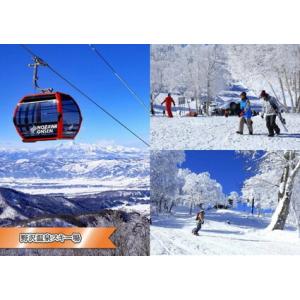 ふるさと納税 野沢温泉村民証 | M-1 ※2...の詳細画像2