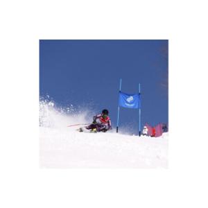 ふるさと納税 全国中学校スキー大会 開催応援特...の詳細画像1