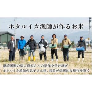 ふるさと納税 ほたるいか米 米定期便 コシヒカ...の詳細画像1