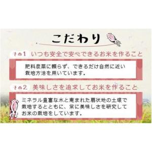 ふるさと納税 ほたるいか米 米定期便 コシヒカ...の詳細画像3