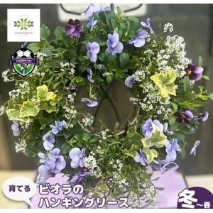 ふるさと納税 【 先行予約 :2026年11月発...の商品画像