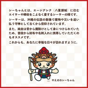 ふるさと納税 八重瀬のシーちゃん記念メダル 1...の詳細画像2