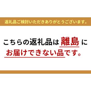 ふるさと納税 【訳あり/再生品】タッチパネル ...の詳細画像1
