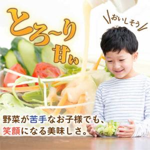 ふるさと納税 【12回定期便】ドレッシング30...の詳細画像1