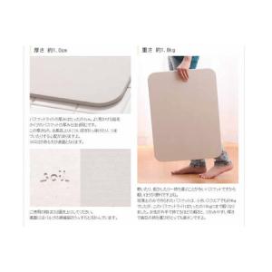ふるさと納税 soil バスマット ライト 秋...の詳細画像3