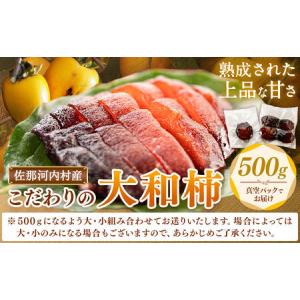 ふるさと納税 佐那河内村産 こだわりの大和柿 500g(真空パック) 山本清 《30日以内に出荷予定(土日祝除く)》│ 干し柿 干柿 柿 かき カキ フ.. 徳島県佐那河内村