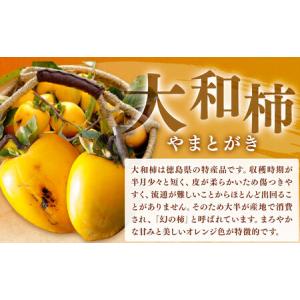 ふるさと納税 佐那河内村産 こだわりの大和柿 ...の詳細画像1