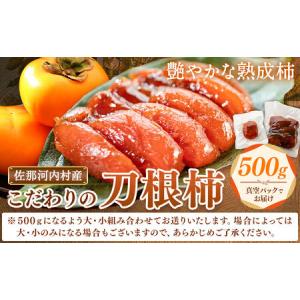 ふるさと納税 佐那河内村産 こだわりの刀根柿 500g (真空パック) 山本清 《30日以内に出荷予定(土日祝除く)》│ 干し柿 干柿 柿 かき カキ .. 徳島県佐那河内村
