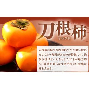 ふるさと納税 佐那河内村産 こだわりの刀根柿 ...の詳細画像1