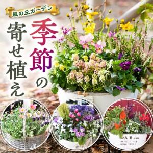 ふるさと納税 【お手軽ガーデニング】季節の寄せ植え（風の丘ガーデン） ギフト寄せ植え 贈答用寄せ植え 母の日 誕生日 記念 宮崎県小林市