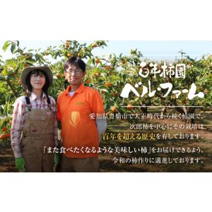 ふるさと納税 皇室献上品 次郎柿 使用 次郎柿...の詳細画像4