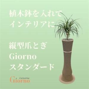 ふるさと納税 猫のおしゃれ爪とぎ「カリカリーナGiorno」スタンダード5号鉢用【1568140】 千葉県館山市