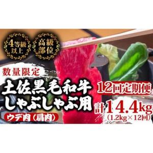 ふるさと納税 【 しゃぶしゃぶ 】 しゃぶしゃぶ黒毛和牛12ヶ月 高知県須崎市