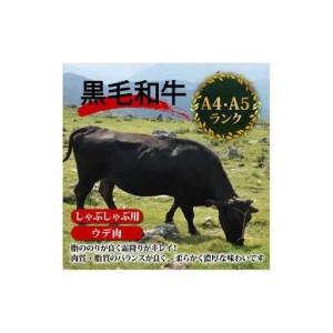 ふるさと納税 【 しゃぶしゃぶ 】 しゃぶしゃ...の詳細画像3