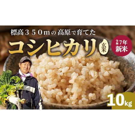 ふるさと納税 【令和7年新米】コシヒカリ 玄米 10kg 新米 コシヒカリ こしひかり ごはん お米...