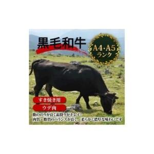 ふるさと納税 【 すき焼き 】 すき焼きウデ肉...の詳細画像3