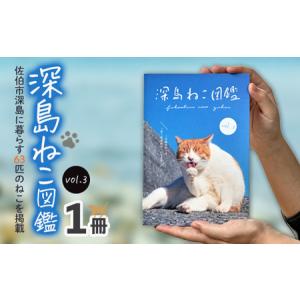 ふるさと納税 深島ねこ図鑑vol.3 (1冊) 猫 ねこ 写真集 本 雑誌 書籍 深島 猫の島 グッズ 大分県 佐伯市 【HD238】【さいき本舗 城下堂】 大分県佐伯市