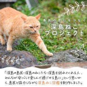 ふるさと納税 深島ねこ図鑑vol.3 (1冊)...の詳細画像1