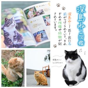 ふるさと納税 深島ねこ図鑑vol.3 (1冊)...の詳細画像2