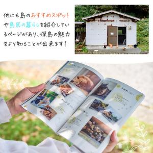 ふるさと納税 深島ねこ図鑑vol.3 (1冊)...の詳細画像3