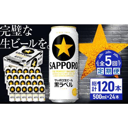 ふるさと納税 【全5回定期便】サッポロ生ビール 黒ラベル 500ml×24缶　合計120缶 日田市 ...