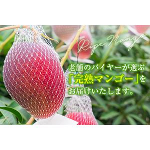 ふるさと納税 【定期便4回】2027年出荷 4...の詳細画像1