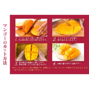 ふるさと納税 【定期便4回】2027年出荷 4...の詳細画像2