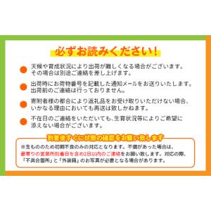 ふるさと納税 【定期便4回】2027年出荷 4...の詳細画像4