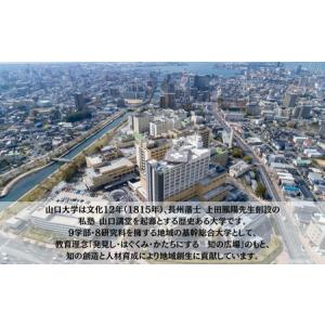 ふるさと納税 山口大学医学部附属病院への人材育...の詳細画像1