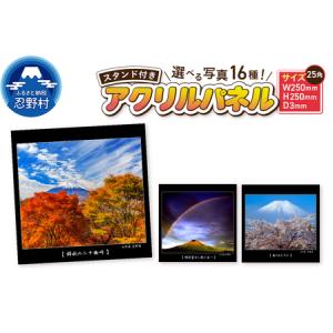 ふるさと納税 アクリルパネル（25角） 山梨県忍野村
