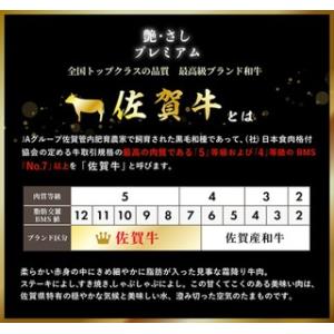 ふるさと納税 定期便 12ヶ月 佐賀牛 プレミ...の詳細画像2