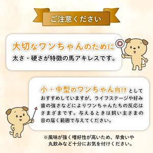 ふるさと納税 無添加 馬アキレスロング 500...の詳細画像3