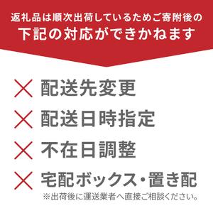 ふるさと納税 強炭酸水【最短3日】VOX スト...の詳細画像4