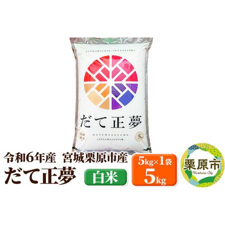 ふるさと納税 【令和5年産】宮城栗原産 だて正夢 白米 5kg (5kg×1袋) 宮城県栗原市