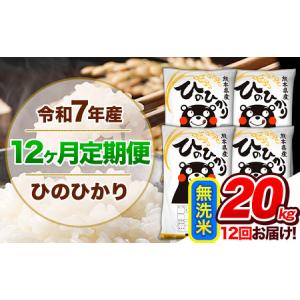 ふるさと納税 【12ヶ月定期便】 令和7年産 定期便 無洗米 ひのひかり 20kg 《お申込み翌月から出荷》熊本県産｜人気米 熊本県産米 お米 生活応援.. 熊本県玉東町
