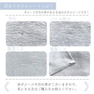 ふるさと納税 訳あり タオルシーツ 1枚 アウ...の詳細画像1