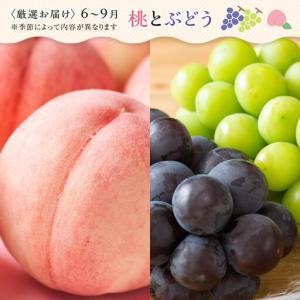 ふるさと納税 【12ヶ月連続定期便】 創業13...の詳細画像2