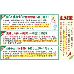 ふるさと納税 令和7年産 【12ヶ月定期便】 ...の詳細画像4