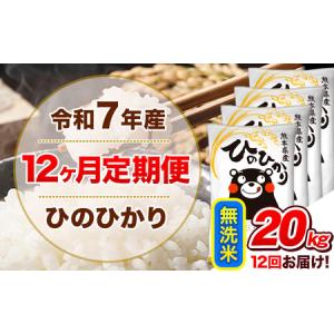 ふるさと納税 令和7年産【12ヵ月定期便】 無洗米 ひのひかり 定期便 20kg 5kg×4袋《お申込み翌月から出荷》 熊本県津奈木町
