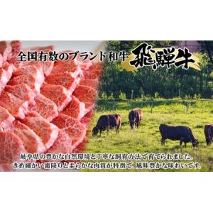 ふるさと納税 定期便 12ヶ月 飛騨牛 ヒレ肉...の詳細画像2