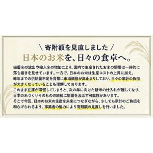 ふるさと納税 【12ヶ月定期便】 米 無洗米 ...の詳細画像1