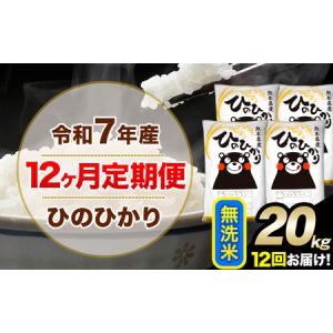 ふるさと納税 令和7年産【12ヶ月定期便】無洗米 ひのひかり 20kg 5kg×4袋《お申込み翌月から出荷》｜人気米 熊本県産米 お米 生活応援米 熊本県南阿蘇村