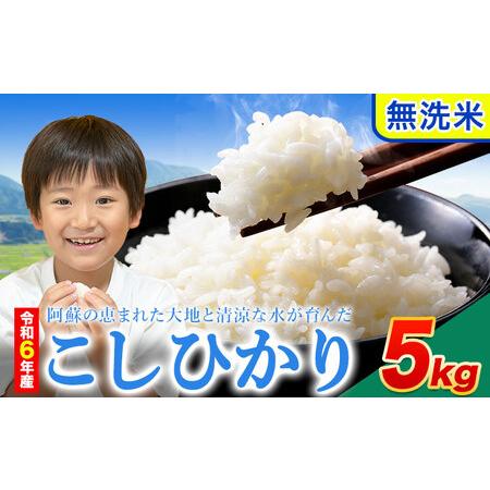 ふるさと納税 令和6年産 こしひかり 無洗米  5kg 精米 熊本県産(南阿蘇村産含む)  南阿蘇村...