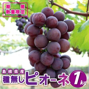 ふるさと納税 先行予約【糖度18度以上!】種無し...の商品画像